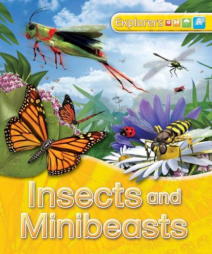 Explorers: Insects and Minibeasts