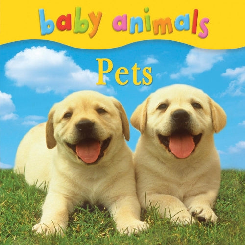 Baby Animals: Pets