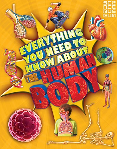 Everything You Need To Know About The Human Body