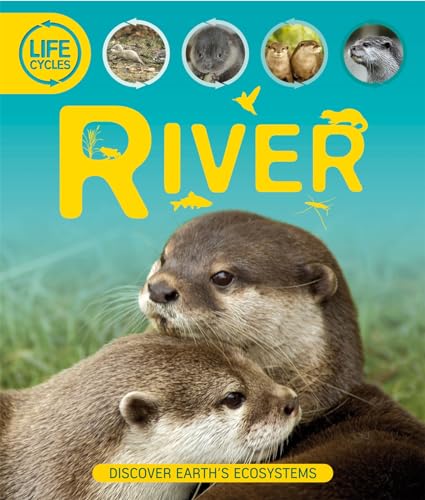 Life Cycles: River