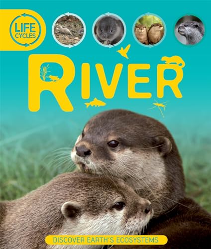 Life Cycles: River