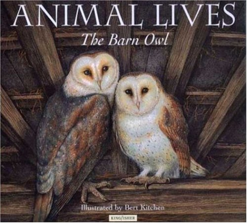 The Barn Owl
