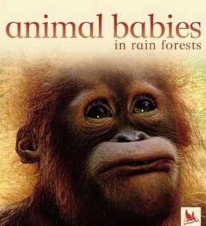 Animal Babies in Rain Forests