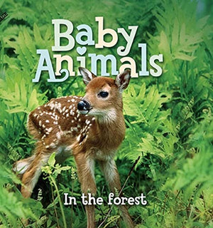 US Baby Animals: in the Forest