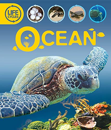 Life Cycles: Ocean