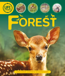 Life Cycles: Forest 