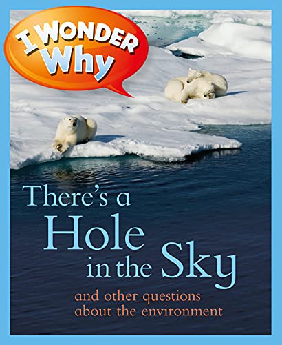 I Wonder Why There's a Hole in the Sky: And Other Questions About the Environment