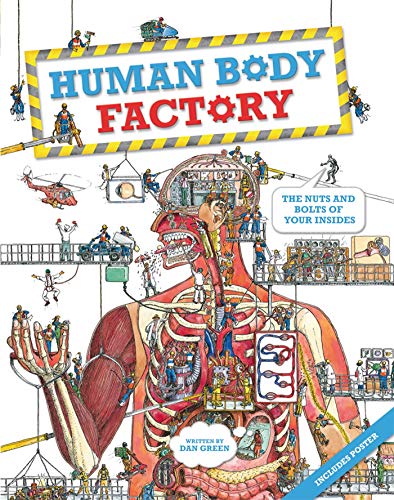 The Human Body Factory