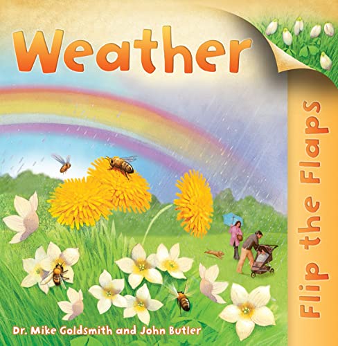Flip the Flaps: Weather