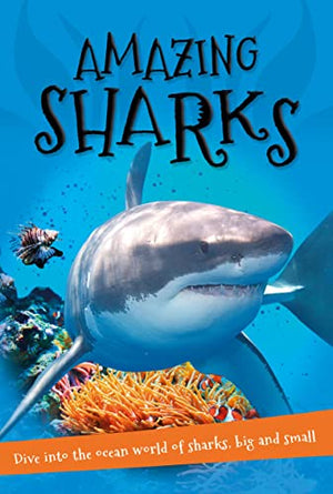 It's All About... Amazing Sharks