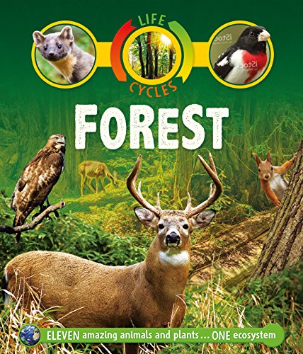 Life Cycles: Forest