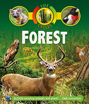 Life Cycles: Forest