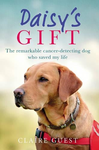 Daisys Gift