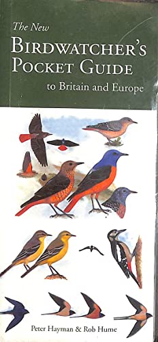 Birdwatcher