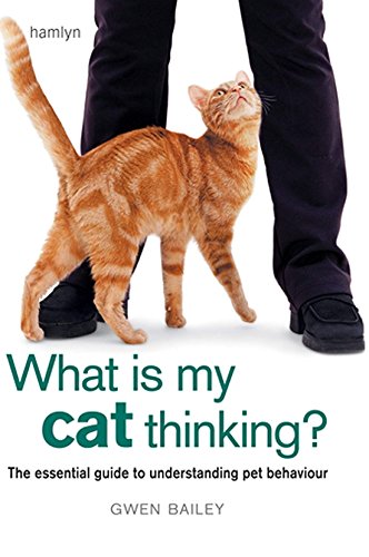 What is my Cat Thinking?
