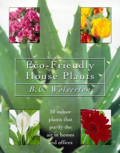 Eco-friendly Houseplants