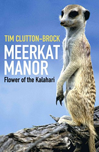 Meerkat Manor