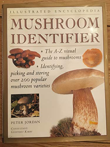 Handbook