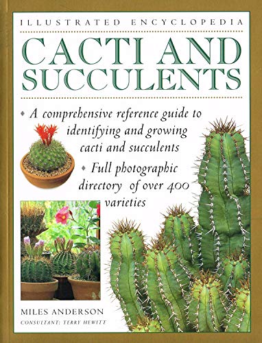 Cacti and Succulents