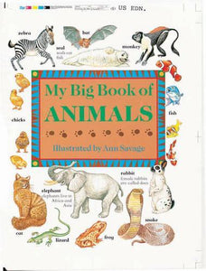 My Big Book of Animals 