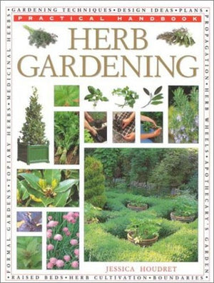 Creating a Herb Garden