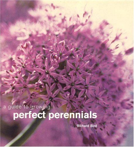Guide to Growing Perfect Perennials