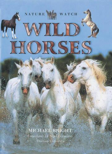 Wild Horses