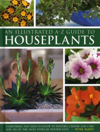 An Illustrated A-Z Guide to Houseplants
