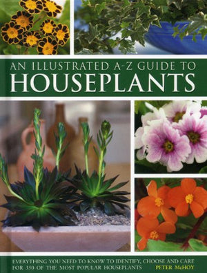 An Illustrated A-Z Guide to Houseplants