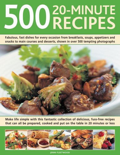 500 20-minute Recipes