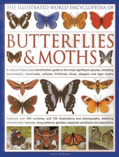 Illustrated World Encyclopedia of Butterflies & Moths