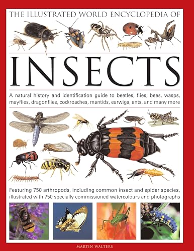 The Illustrated World Encyclopaedia of Insects