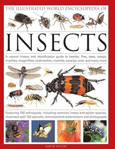 The Illustrated World Encyclopaedia of Insects 