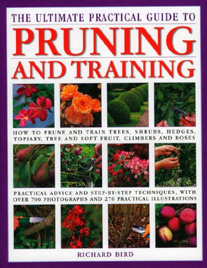 The Ultimate Practical Guide to Pruning and Training