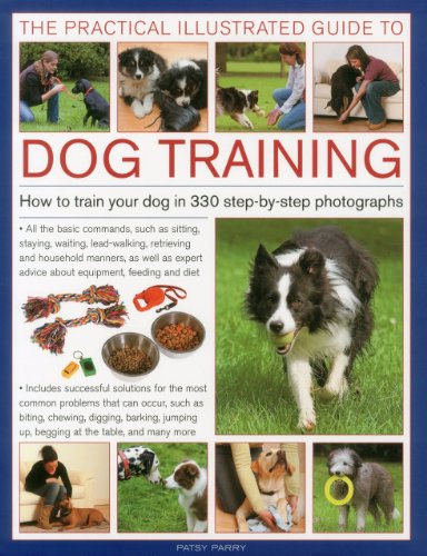 Practical Illustrated Guide to Dog Training