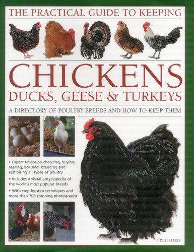 Practical Guide to Keeping Chickens, Duck, Geese & Turkeys
