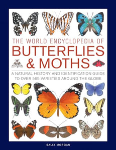 Butterflies & Moths, The World Encyclopedia of 