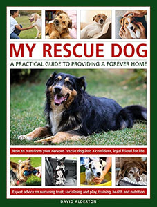 My Rescue Dog: A practical guide to providing a forever home 