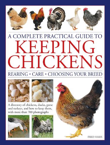 Keeping Chickens, Complete Practical Guide to
