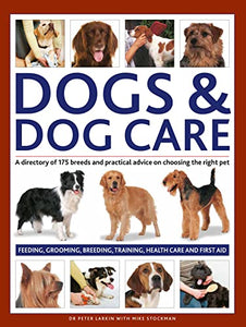 Dogs & Dog Care 