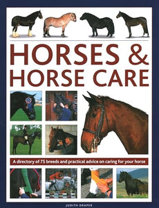 Horses & Horse Care 