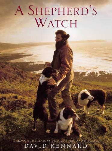 A Shepherd's Watch