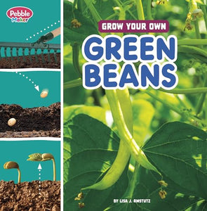 Grow Your Own Green Beans 