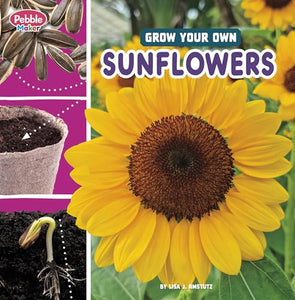 Grow Your Own Sunflowers 