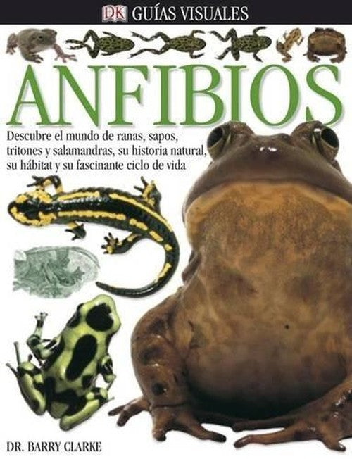 Anfibios