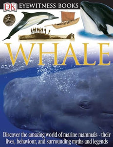 Whale 