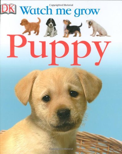 Puppy