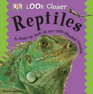 Reptiles 