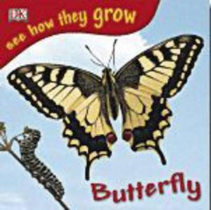 Butterfly with Sticker