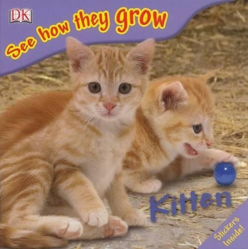 See How They Grow Kitten